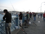 100_0333.jpg